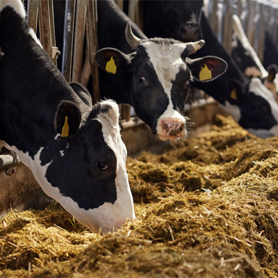 1 Farming and Agriculture Sprayers