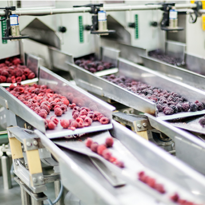 Food Production and Manufacturing Washers