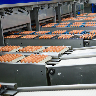 Food Production and Manufacturing Washers